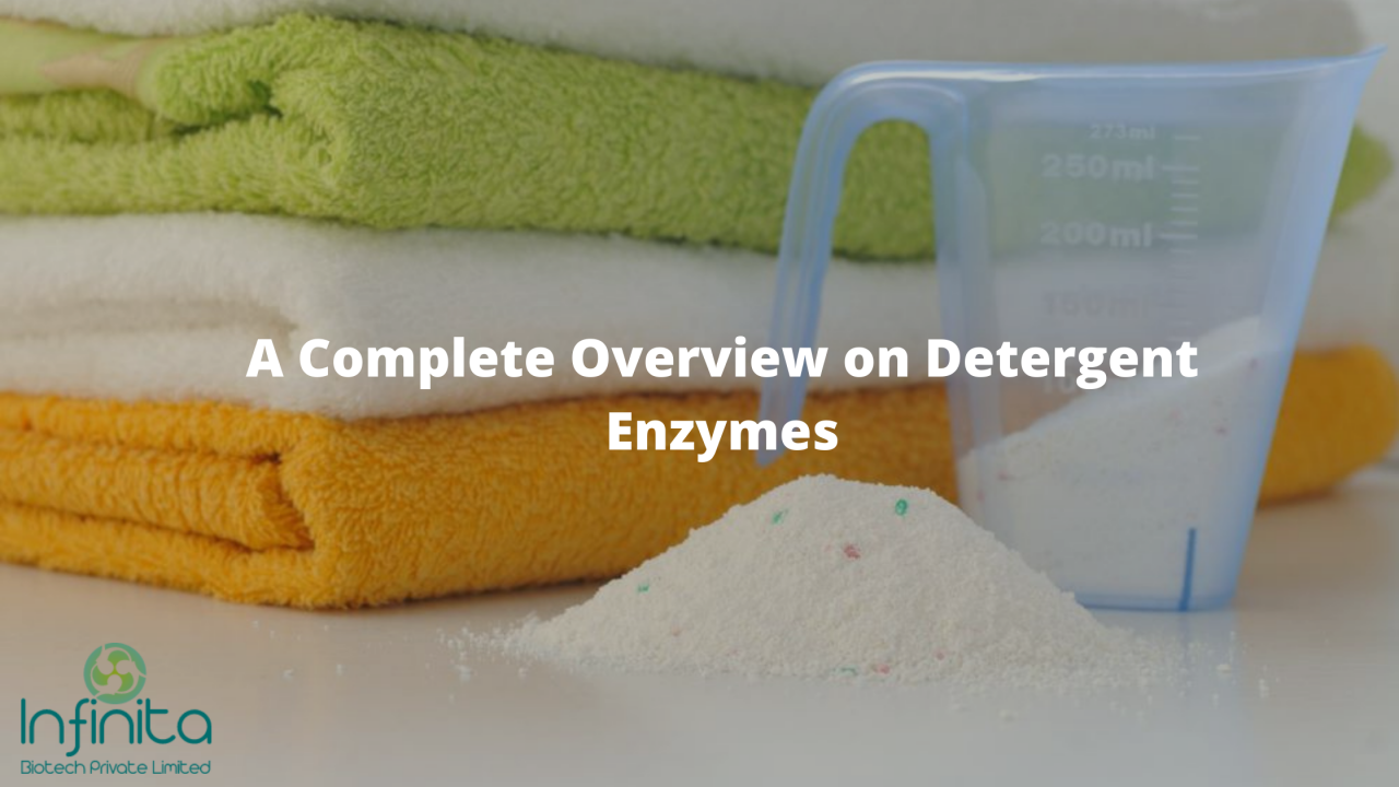 A Complete Overview of Detergent Enzymes Infinita Biotech
