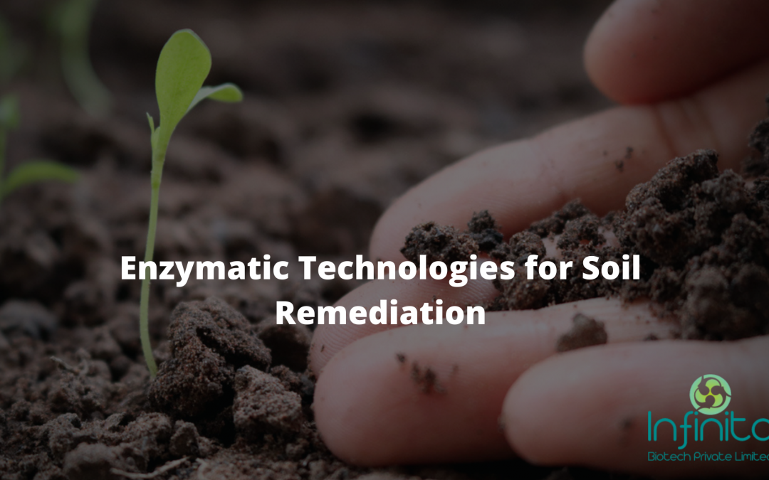 Enzymatic Technologies for Soil Remediation