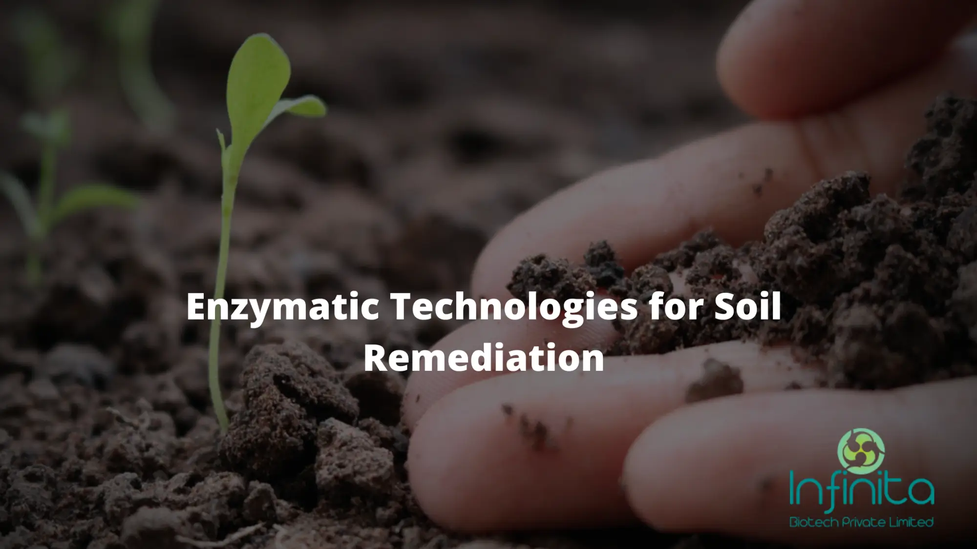 Soil remediation