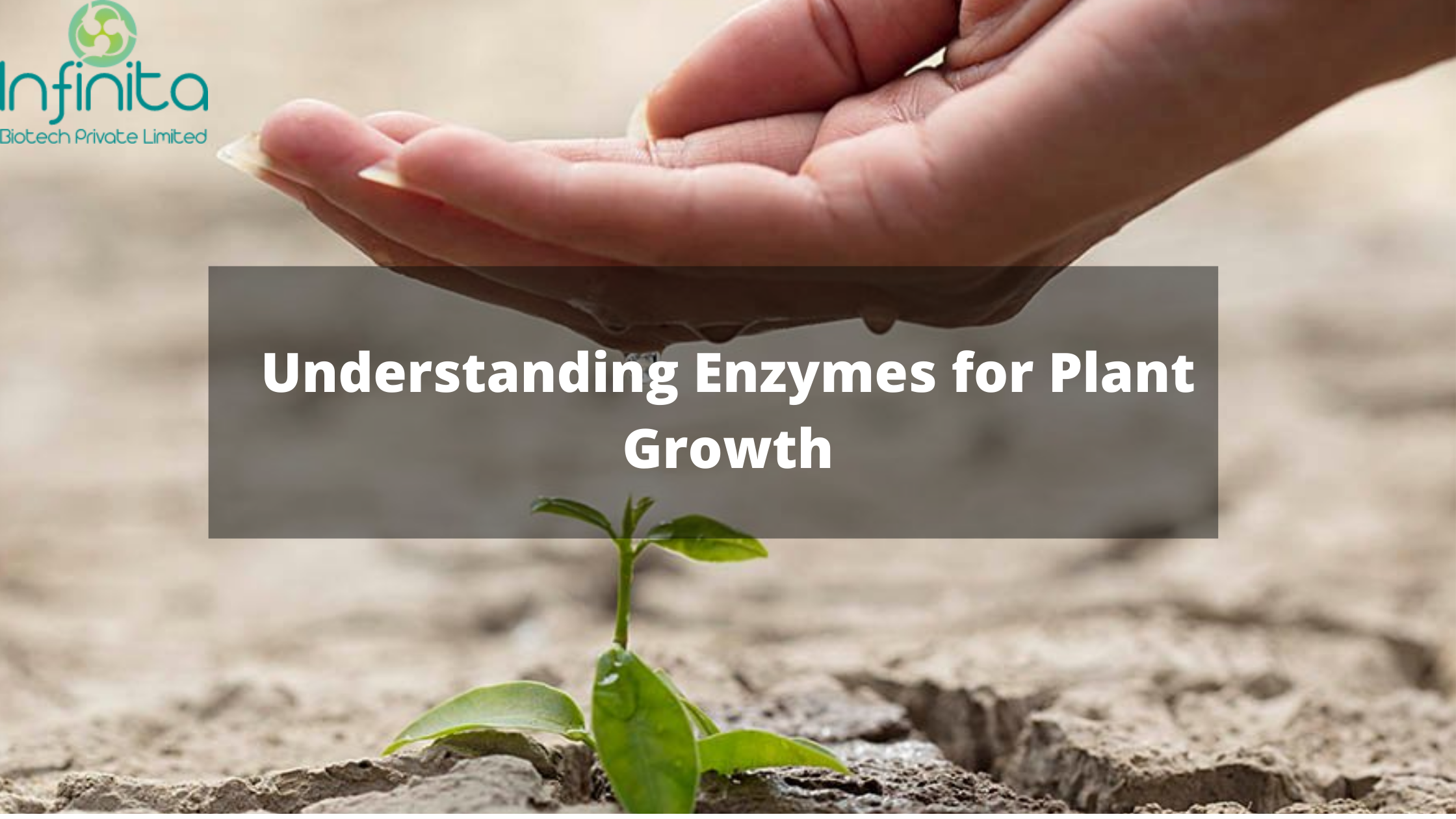 enzymes for plant growth