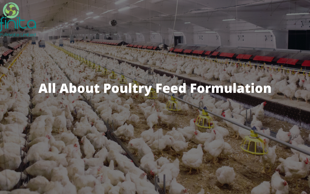 All About Poultry Feed Formulation