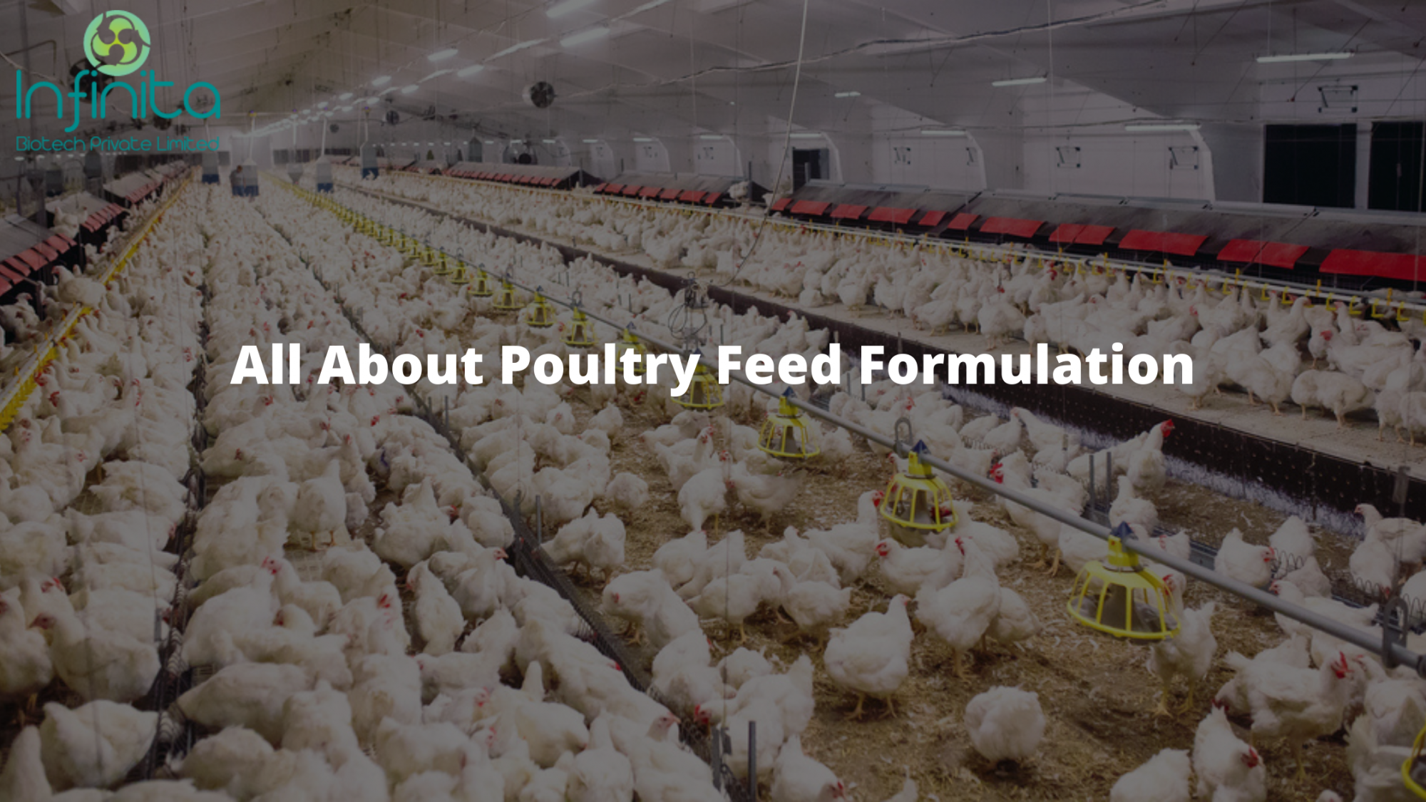 poultry enzymes
