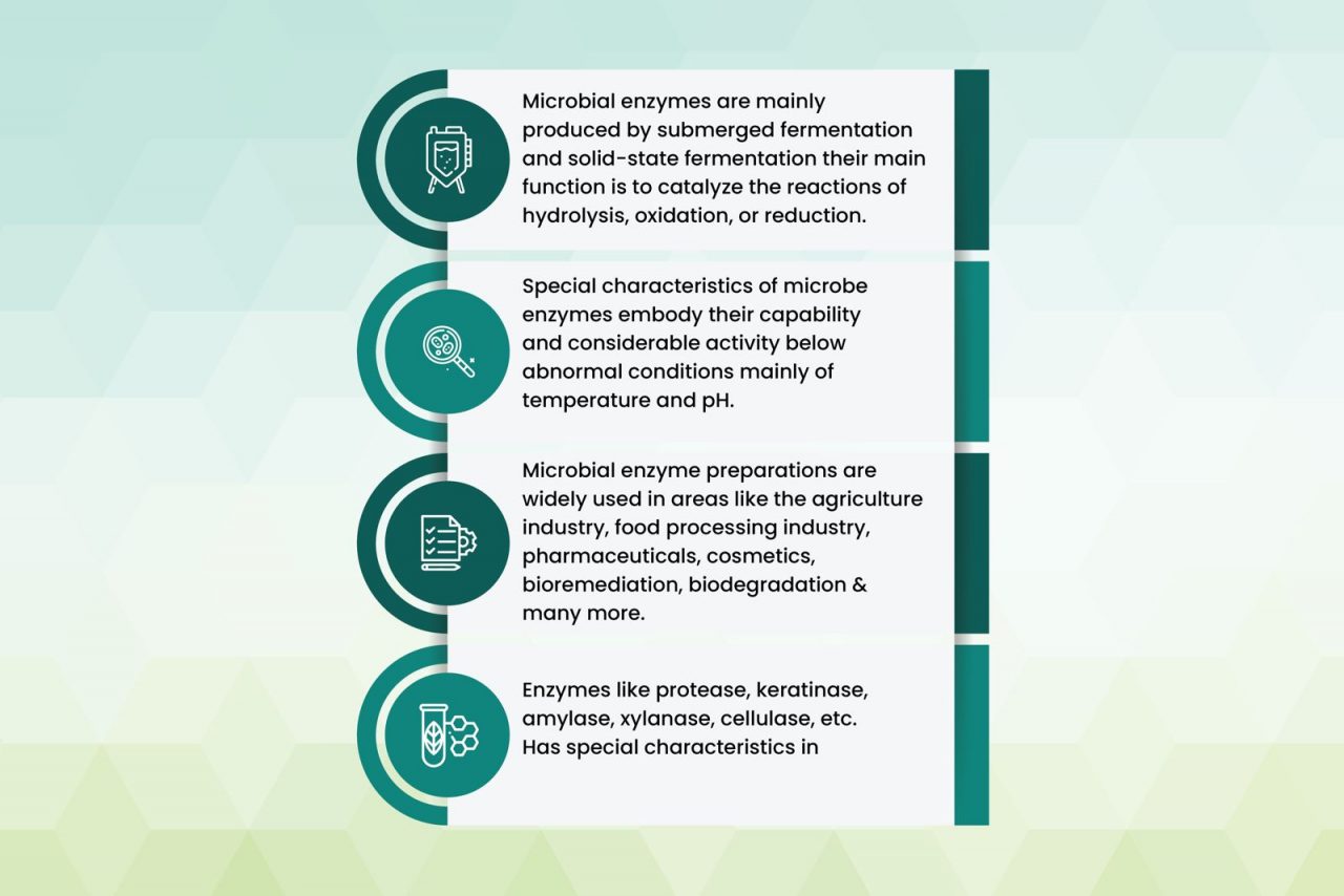 What Are The Uses Of Microbial Enzymes Infinita Biotech