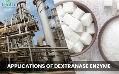 Applications Of Dextranase Enzyme