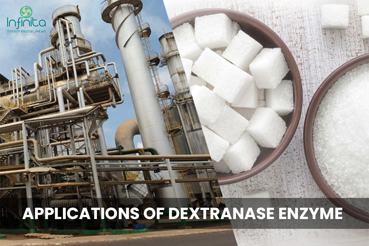 Applications Of Dextranase Enzyme