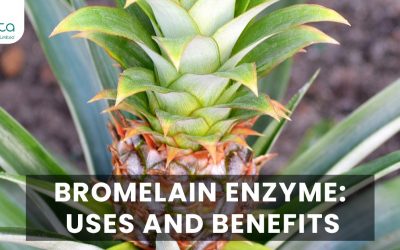 Bromelain Enzyme: Uses and Benefits