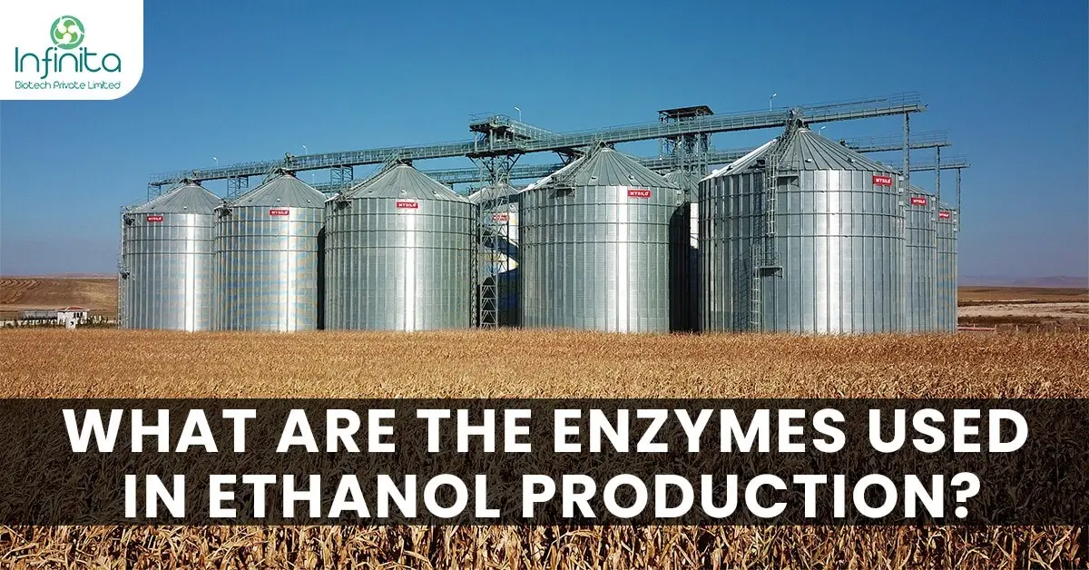 Ethanol Production