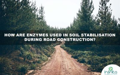 How are enzymes used in soil stabilisation during road construction?