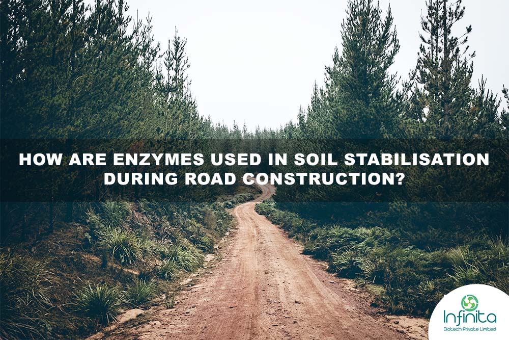How are enzymes used in soil stabilisation during road construction?