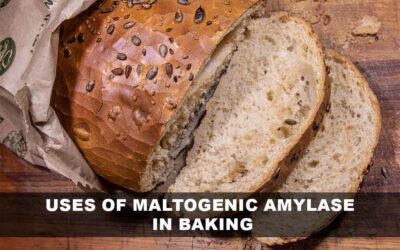 Uses of Maltogenic Amylase in Baking