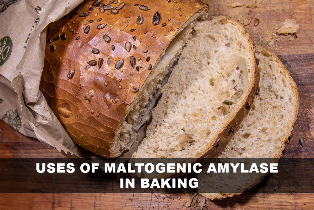 Uses of Maltogenic Amylase in Baking