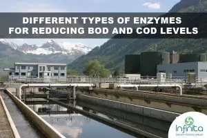 What Are The Different Types of Enzymes for Reducing BOD and COD Levels?