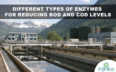 What Are The Different Types of Enzymes for Reducing BOD and COD Levels?