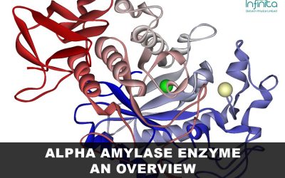 Alpha Amylase Enzyme an Overview