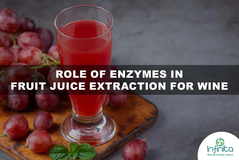 Role Of Enzymes In Fruit Juice Extraction For Wine