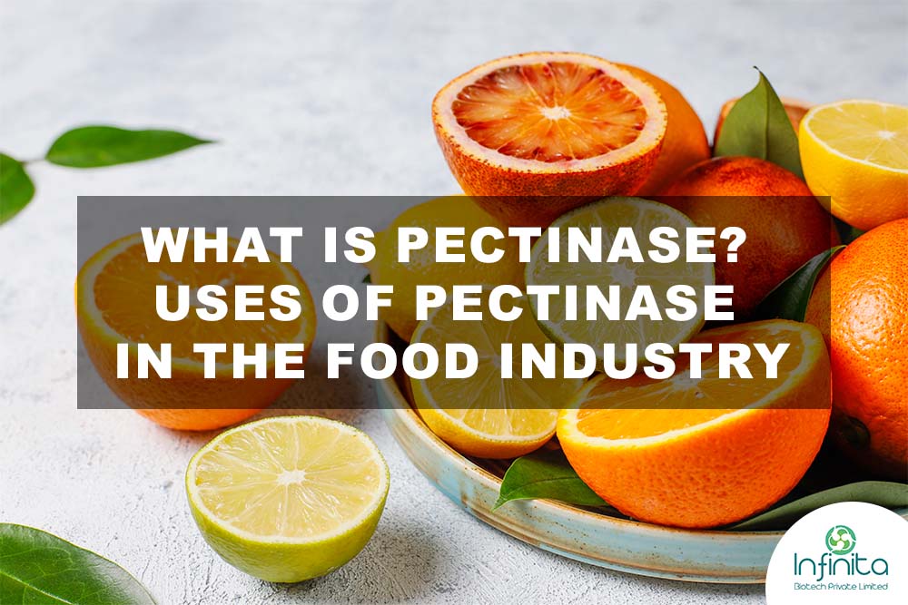 What is Pectinase? Uses of Pectinase in the Food Industry