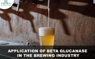 Application Of Beta Glucanase In The Brewing Industry
