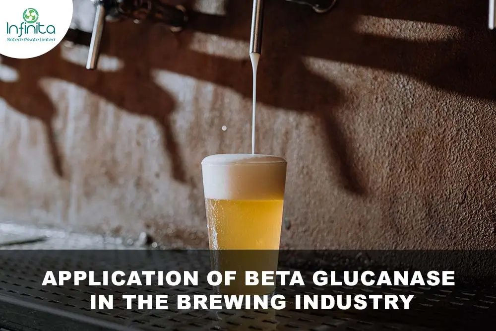 Application Of Beta Glucanase In The Brewing Industry