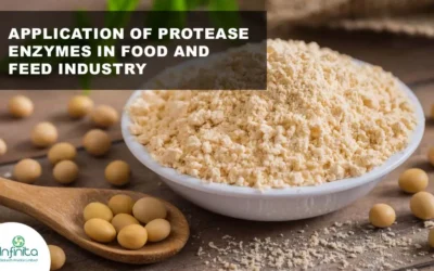 Application of Protease Enzymes in Food and Feed Industry