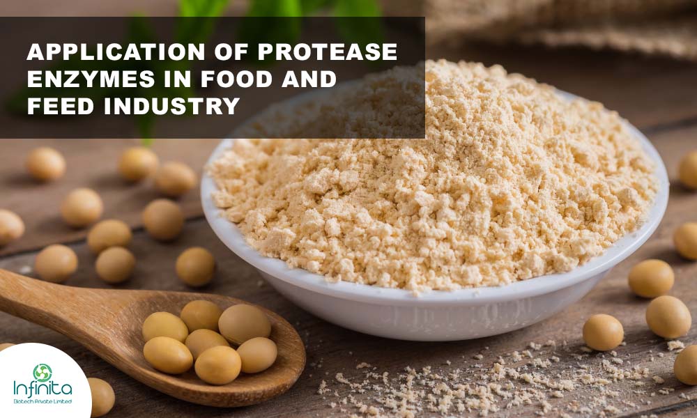 Application of Protease Enzymes in Food and Feed Industry