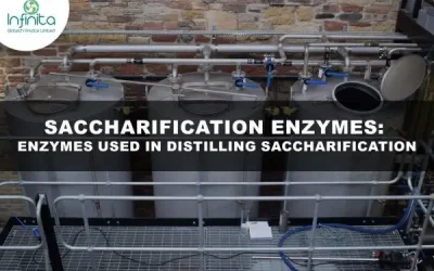 Application Of Saccharification Enzymes