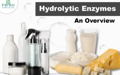 Hydrolytic Enzymes – An Overview