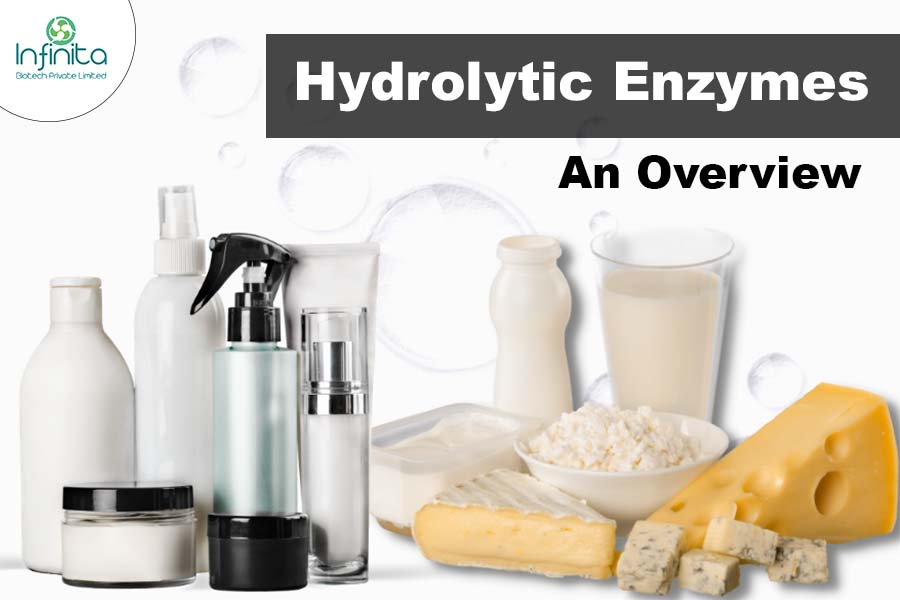 Hydrolytic Enzymes – An Overview