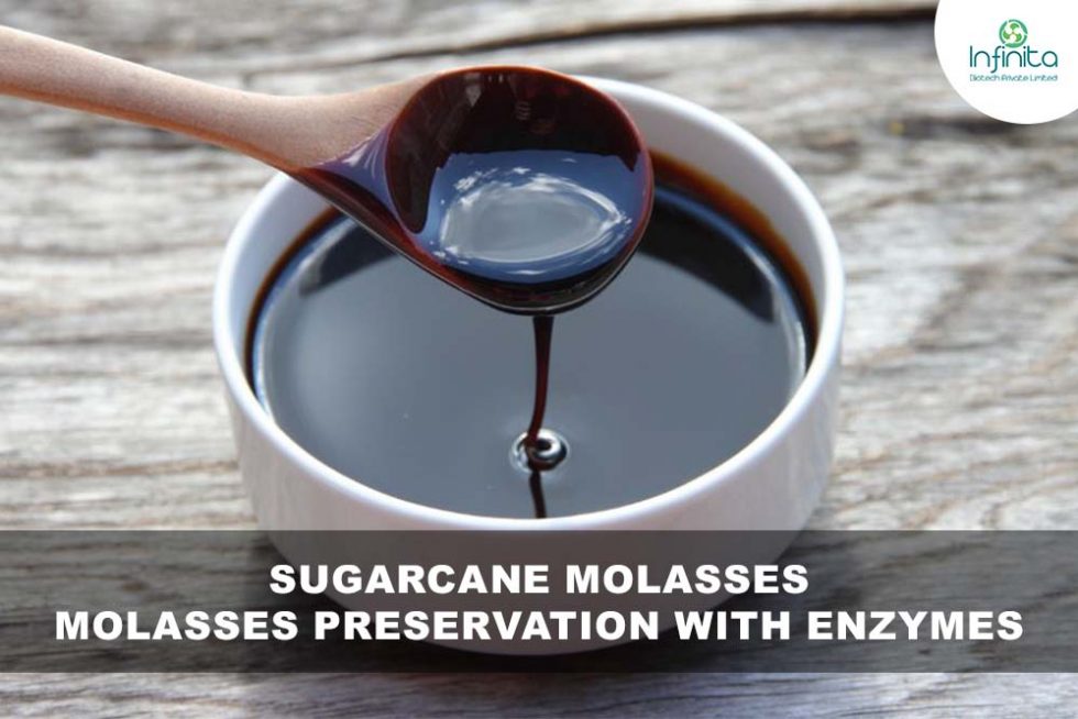 sugarcane-molasses-molasses-preservation-with-enzymes