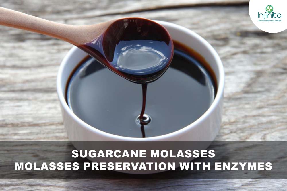 Sugarcane Molasses – Molasses Preservation with Enzymes