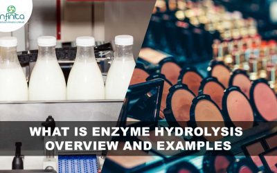 What is Enzyme Hydrolysis – Overview and Examples