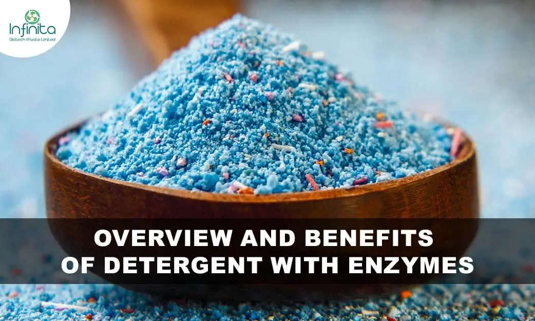 Overview and Benefits of Detergent With Enzymes