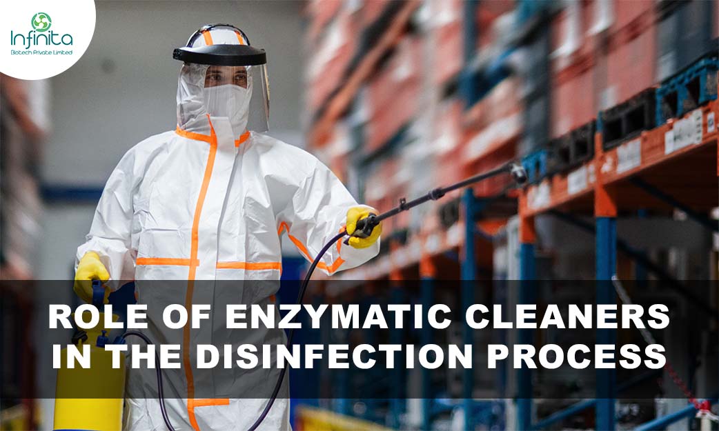 Role of Enzymatic Cleaners in the Disinfection Process
