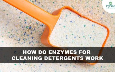 How do Enzymes for Cleaning Detergents Work?