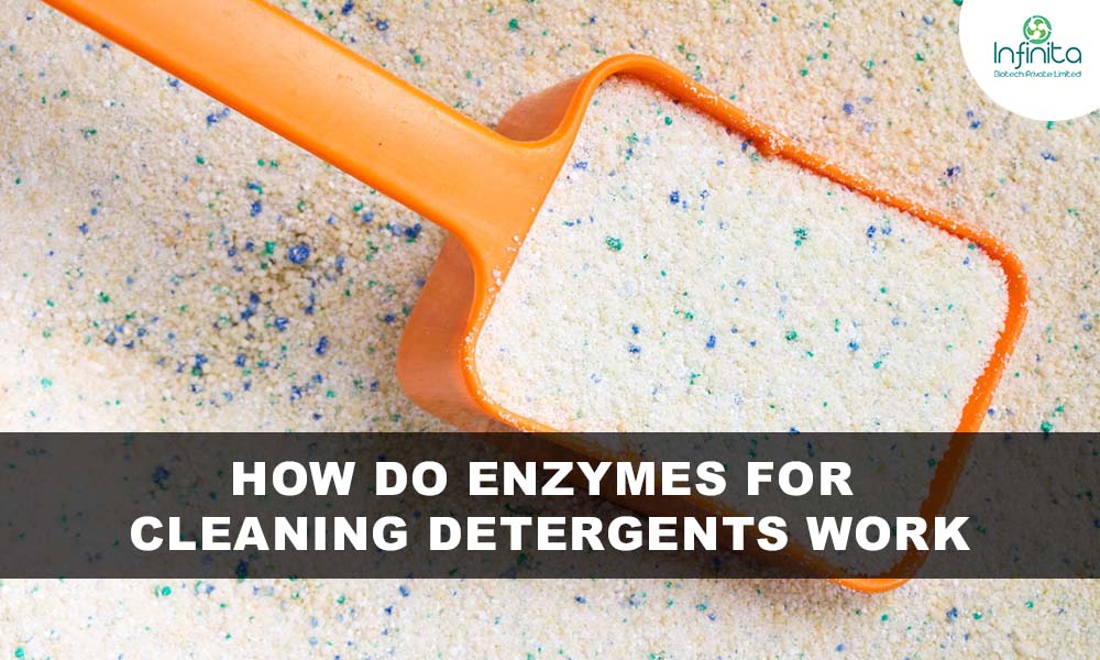 Enzymes for Cleaning Detergents