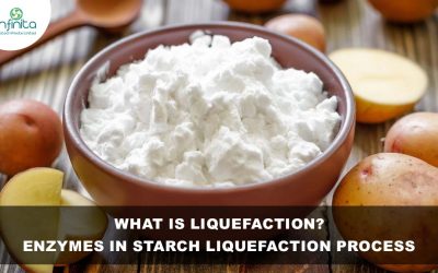What is Liquefaction? Enzymes in Starch Liquefaction Process