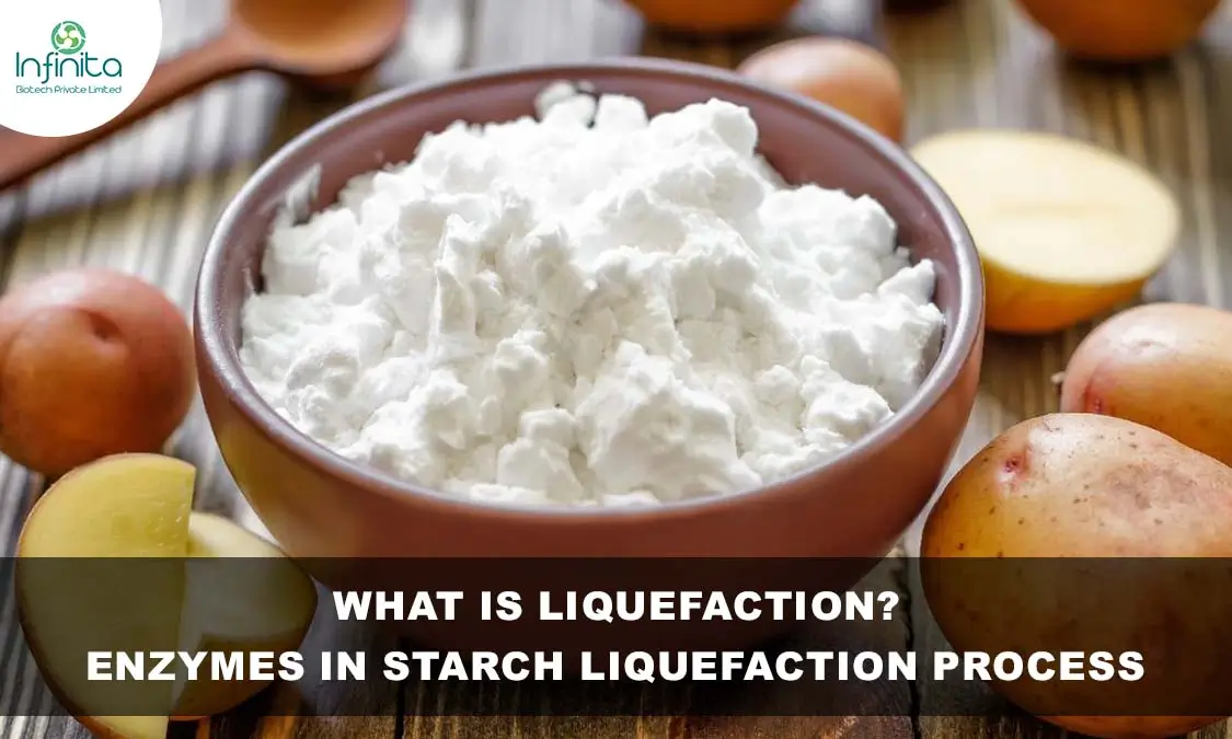 starch liquefaction process