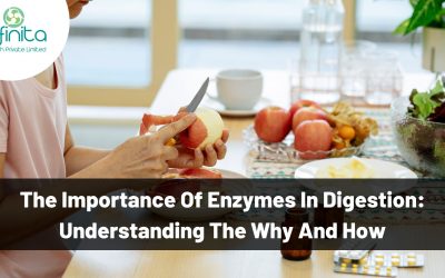 Importance of Enzymes in Digestion: Understanding the Why and How