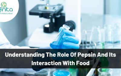 Understanding the Role of Pepsin and Its Interaction with Food
