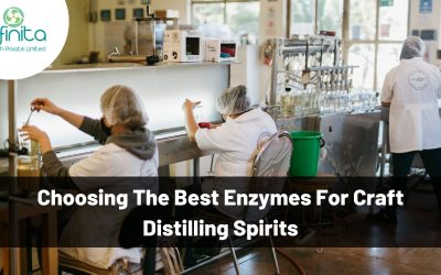 Choosing the Best Enzymes for Craft Distilling Spirits
