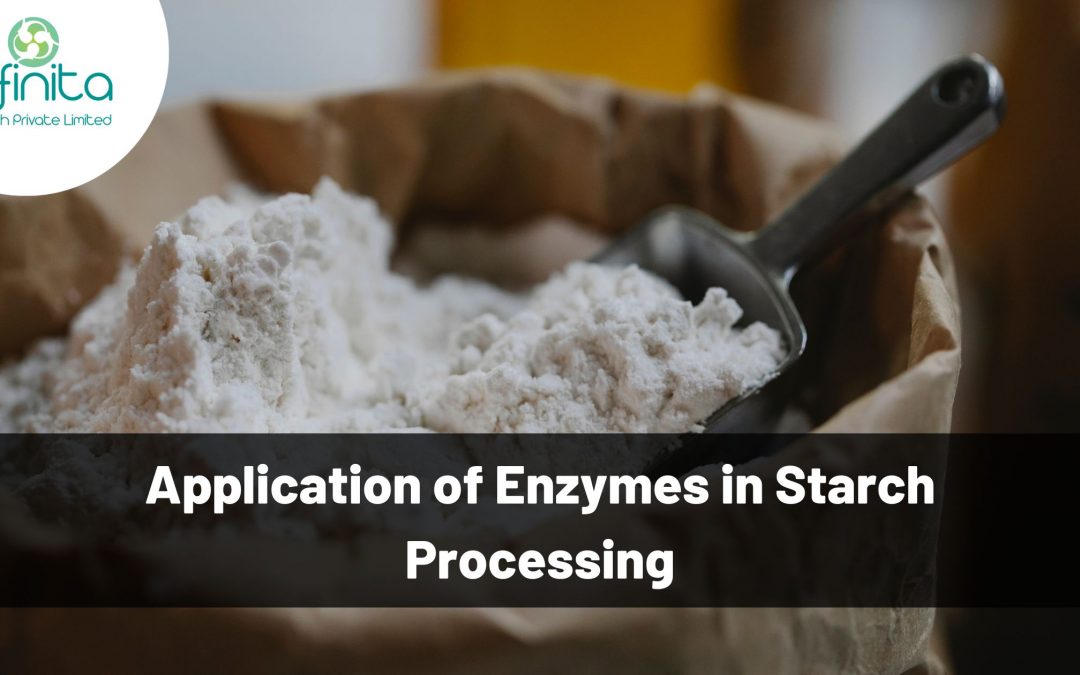 Application of Enzymes in Starch Processing