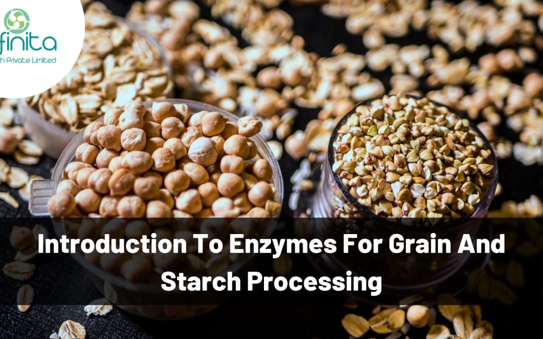 Introduction to Enzymes for Grain and Starch Processing