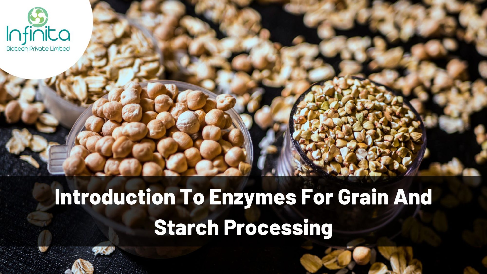 Starch Processing Enzymes