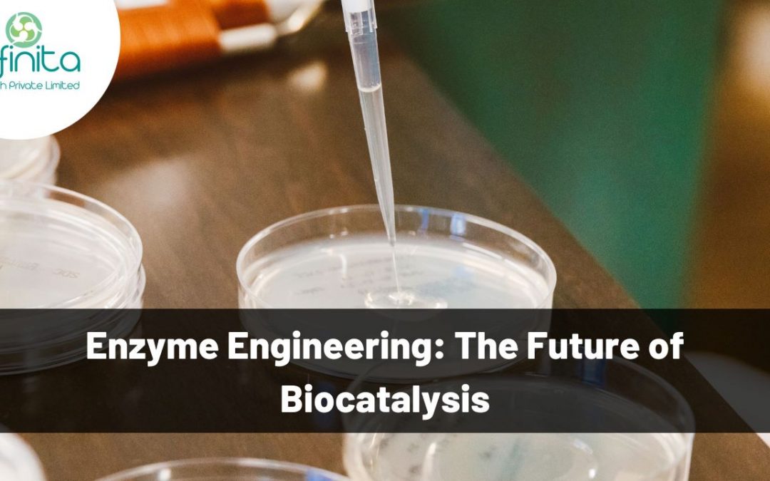 Enzyme Engineering: The Future of Biocatalysis