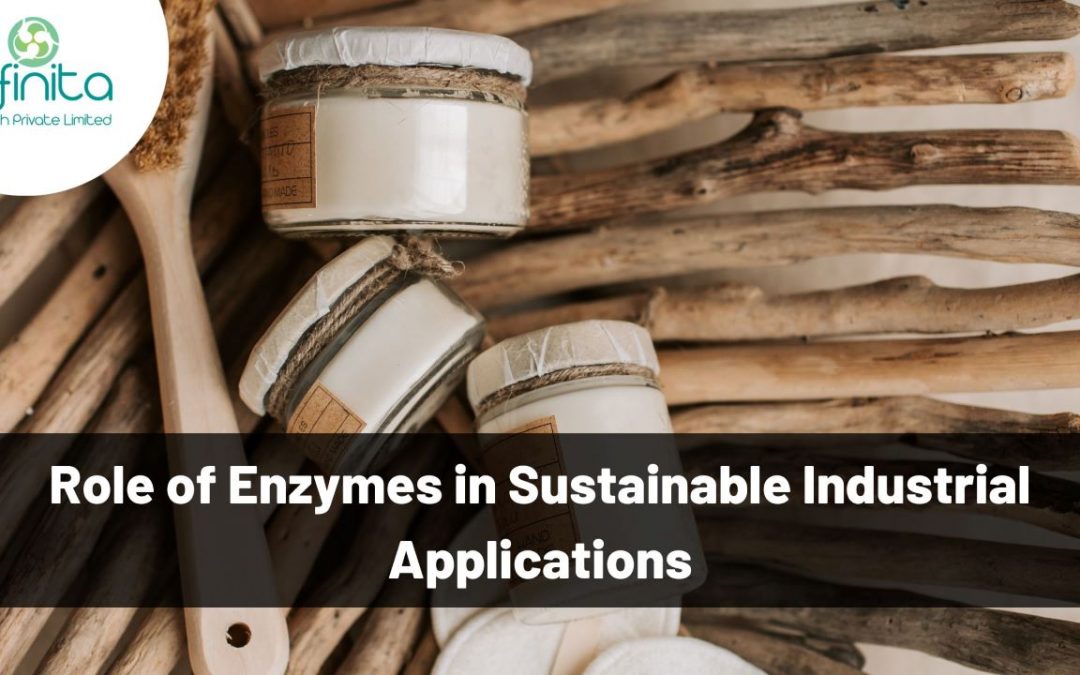 Role of Enzymes in Sustainable Industrial Applications