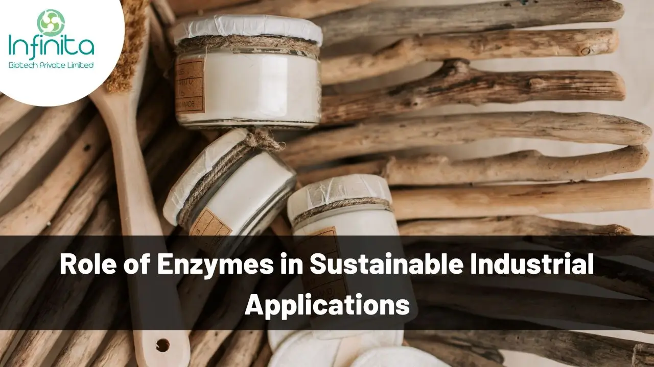 enzymes in industrial applications