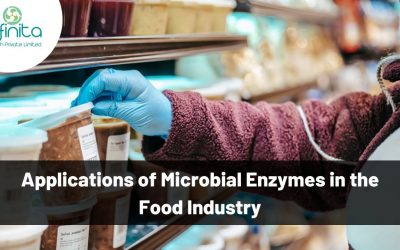 Applications of Microbial Enzymes in the Food Industry