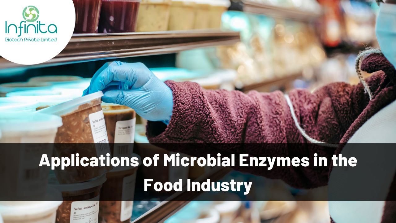microbial enzymes in food industry