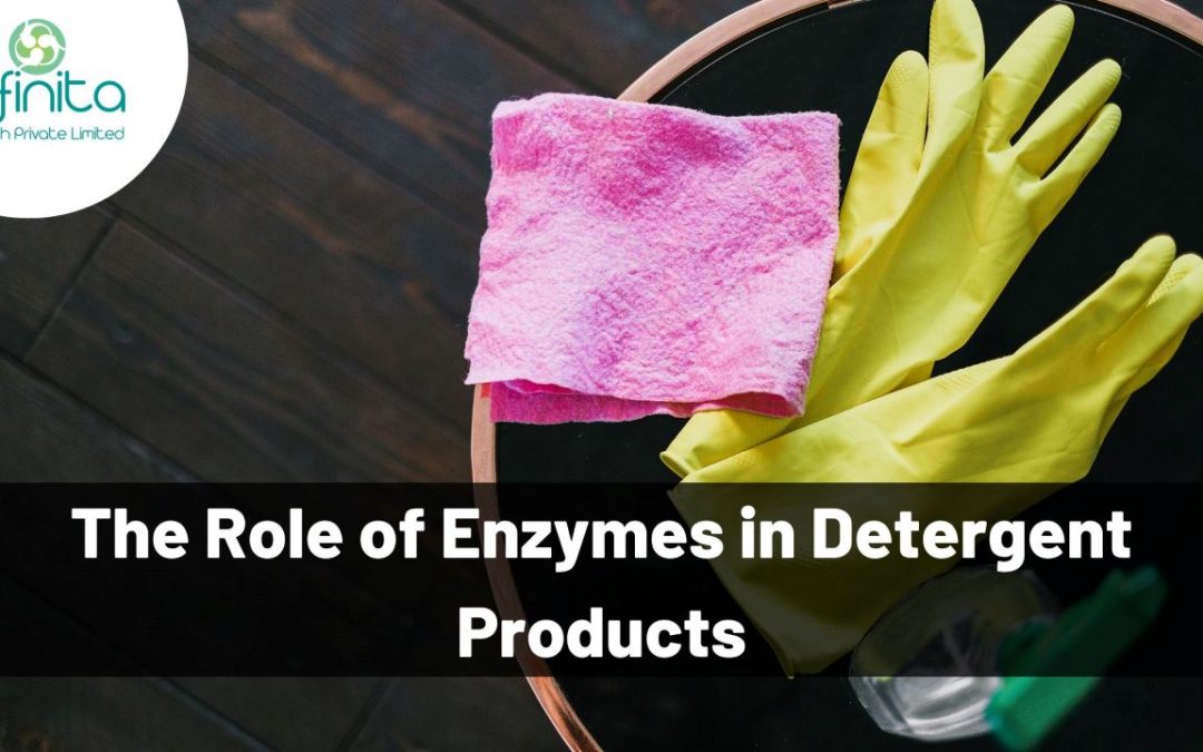 role of enzymes in detergents