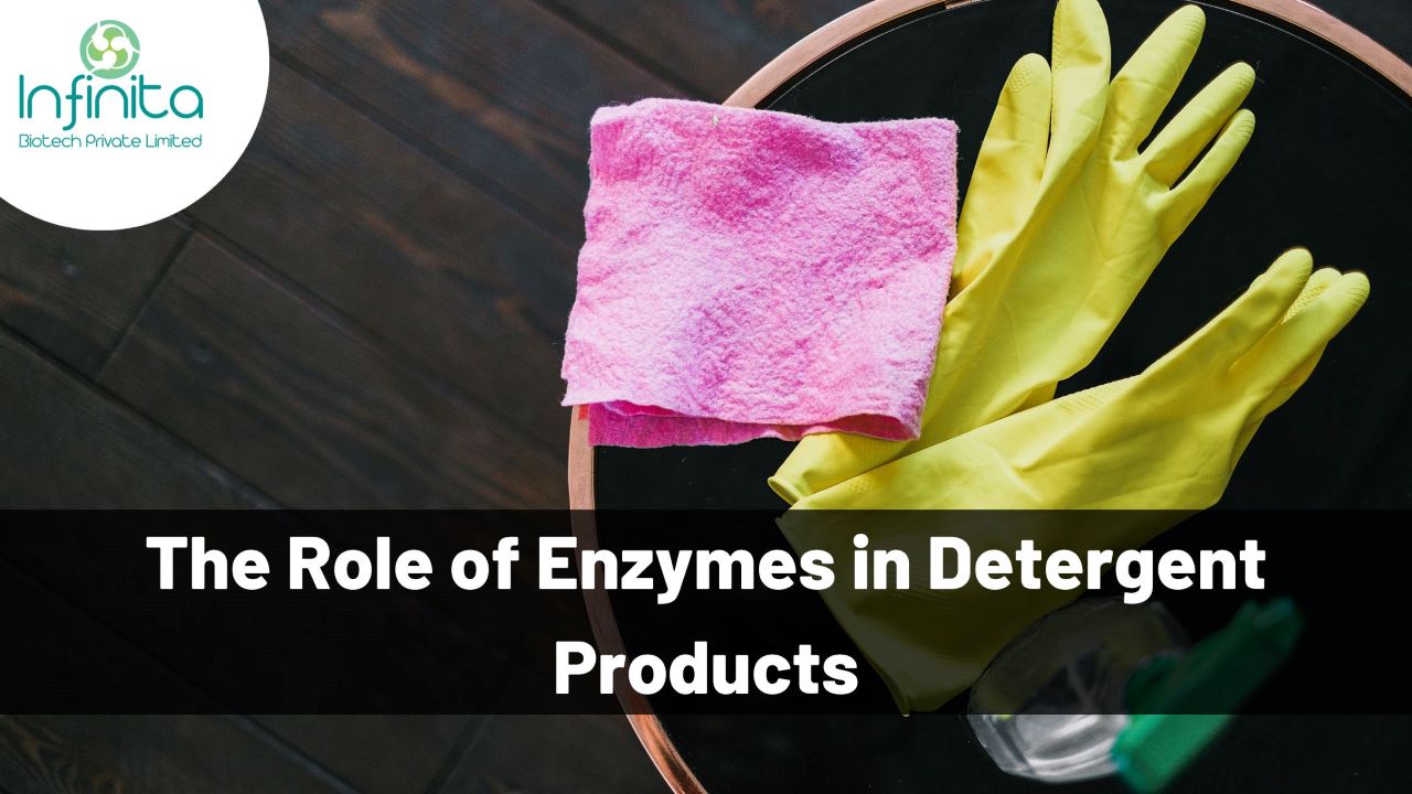 role of enzymes in detergents