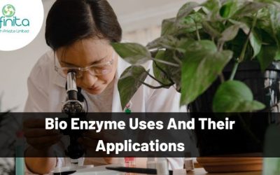 Bio Enzyme Uses and Their Applications